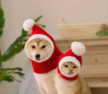 Animale De Companie Pălărie De Crăciun Câine Roșu De Lână Pălărie Chai Câine Fadou Ursuleți De Pluș Golden Retriever Câine Mare Om Pălărie De Crăciun