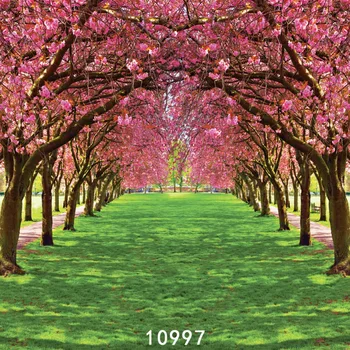 Flori de primăvară Copac Grădină Calea Fotografii Fundaluri Fundaluri pentru Studio Foto sedinta Foto de Vinil, Pânză de Calculator Imprimate 3D